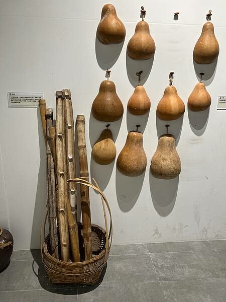 池上春季一日遊。伯朗大道一片片綠油油的稻田|台東嘉義宜蘭遊記