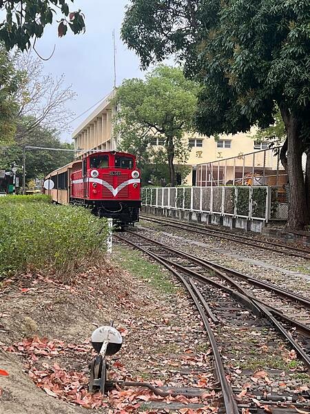 嘉義市步行路線：阿里山檜木的檜意森活村、藝術家王文志的森林之