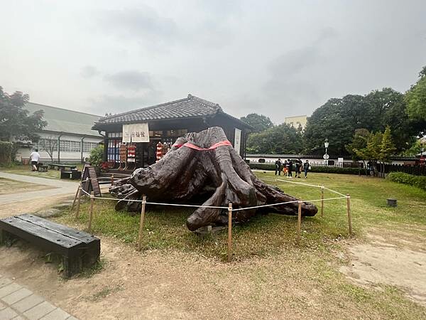 嘉義市步行路線：阿里山檜木的檜意森活村、藝術家王文志的森林之