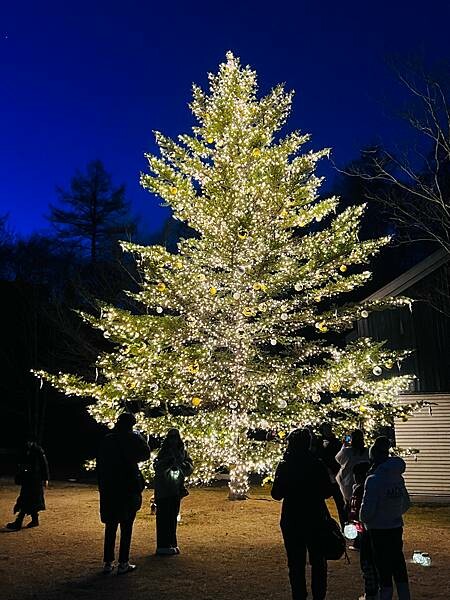 2023年日本長野縣輕井澤星野渡假飯店浪漫聖誕活動:杉樹廣場