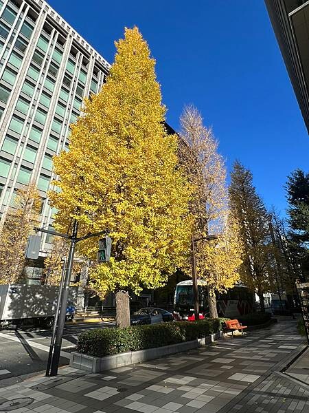 東京京橋評價住宿：東京京橋雷姆飯店Remm Tokyo Ky