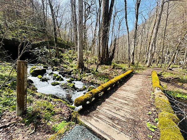 奧入瀨溪流一日慢走遊記:三亂の流れ、石戶休息站、阿修羅之流、 奧入瀨溪流一日慢走遊記:三亂の流れ、石戶休息站、阿修羅之流、