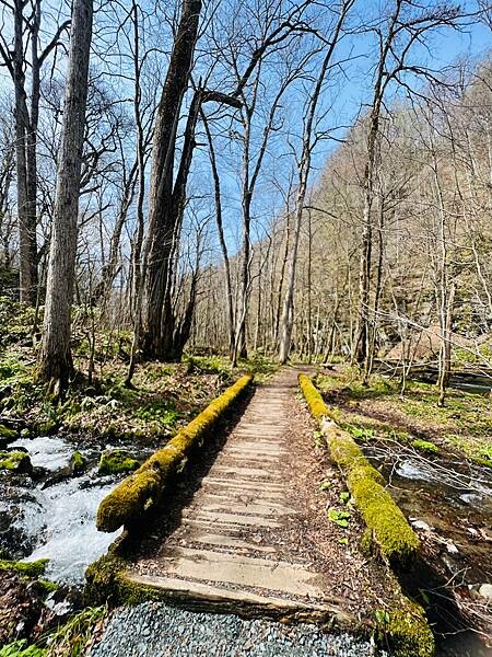 奧入瀨溪流一日慢走遊記:三亂の流れ、石戶休息站、阿修羅之流、 奧入瀨溪流一日慢走遊記:三亂の流れ、石戶休息站、阿修羅之流、