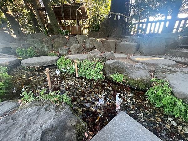 東京近郊小江戶川越一日遊:歷史老式建築物的川越藏造老街。老街