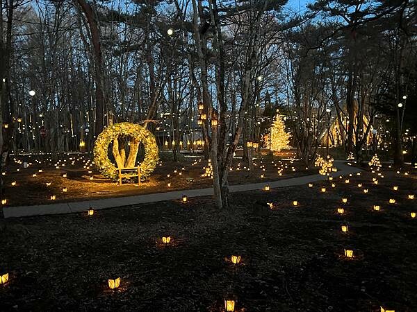 2023年日本長野縣輕井澤星野渡假飯店浪漫聖誕活動:杉樹廣場