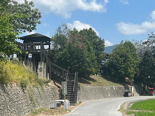 池上春季一日遊。伯朗大道一片片綠油油的稻田|台東嘉義宜蘭遊記