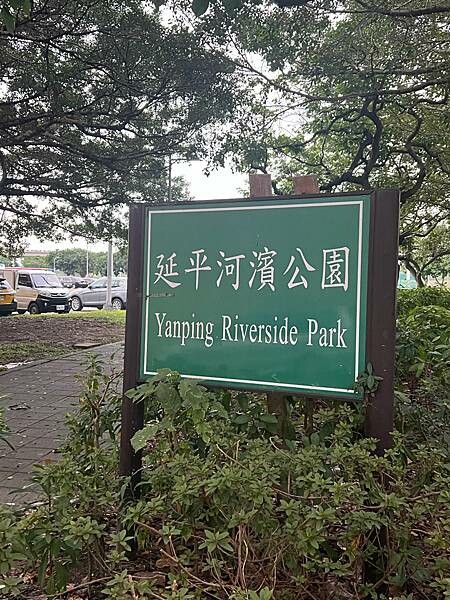 台北市捷運北門站:12月的延平河濱公園花海