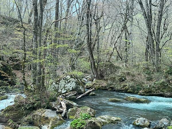 奧入瀨溪流一日慢走遊記:三亂の流れ、石戶休息站、阿修羅之流、 奧入瀨溪流一日慢走遊記:三亂の流れ、石戶休息站、阿修羅之流、