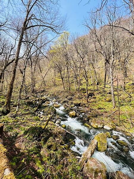 奧入瀨溪流一日慢走遊記:三亂の流れ、石戶休息站、阿修羅之流、 奧入瀨溪流一日慢走遊記:三亂の流れ、石戶休息站、阿修羅之流、
