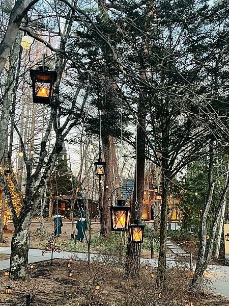 2023年日本長野縣輕井澤星野渡假飯店浪漫聖誕活動:杉樹廣場