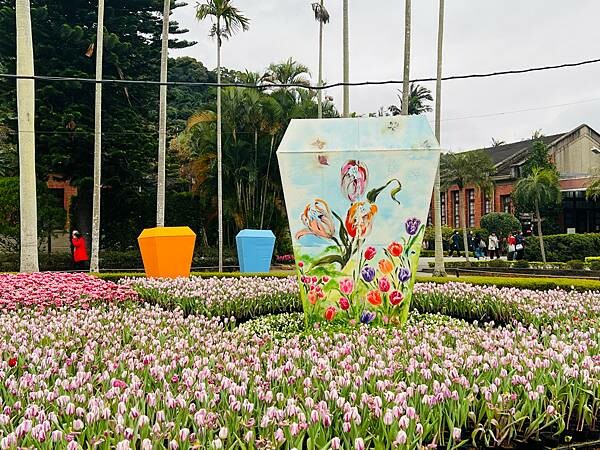 2024年士林官邸公園鬱金香花季:相鬱祈福。鬱金香齊放