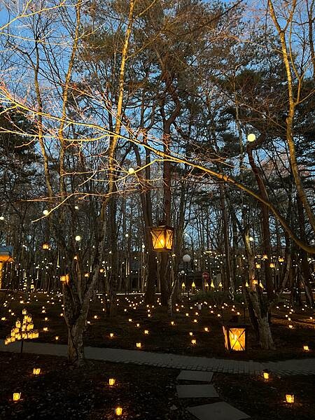 2023年日本長野縣輕井澤星野渡假飯店浪漫聖誕活動:杉樹廣場