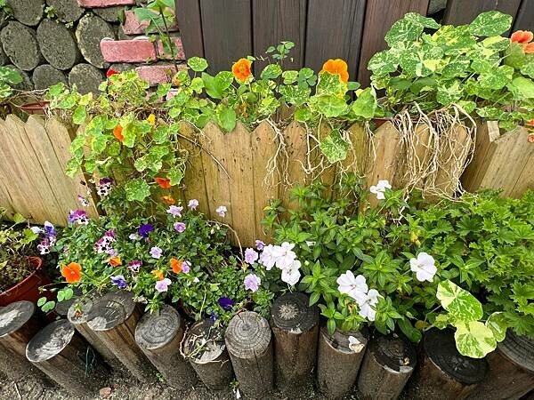 台北市內湖捷運站碧山巖。輕鬆漫慢遊。輕旅行:白石湖吊橋、午餐