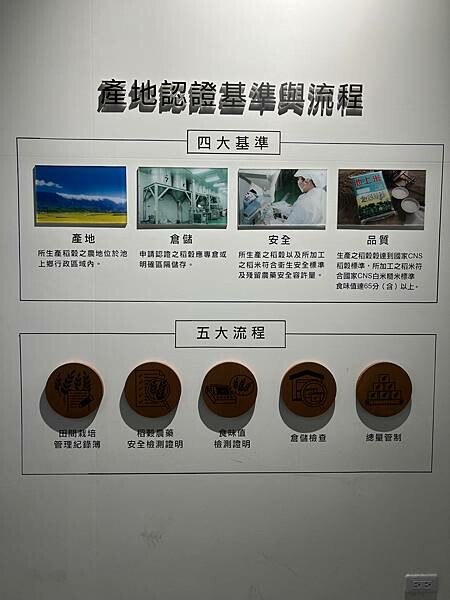 池上春季一日遊。伯朗大道一片片綠油油的稻田|台東嘉義宜蘭遊記