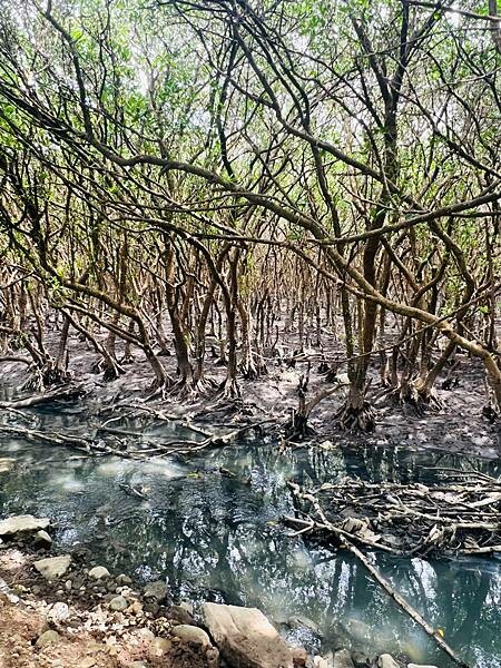 新北市八里一日遊：2023年八里神化沙雕藝術展。挖子尾自然保