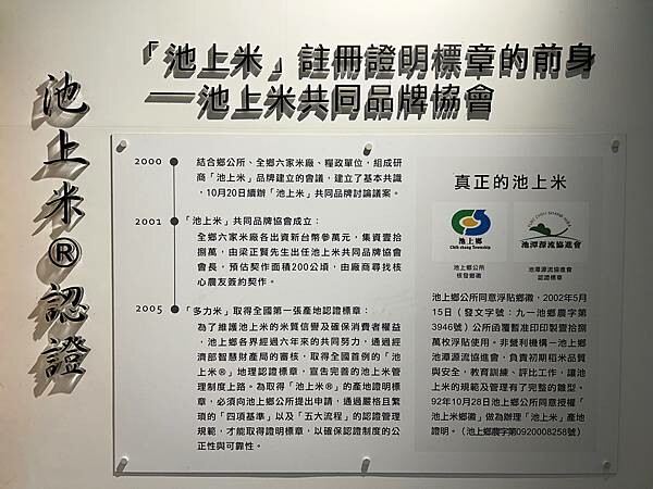 池上春季一日遊。伯朗大道一片片綠油油的稻田|台東嘉義宜蘭遊記