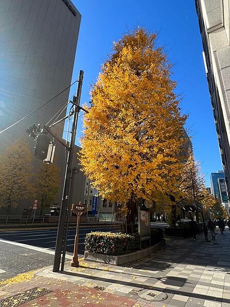 東京京橋評價住宿：東京京橋雷姆飯店Remm Tokyo Ky