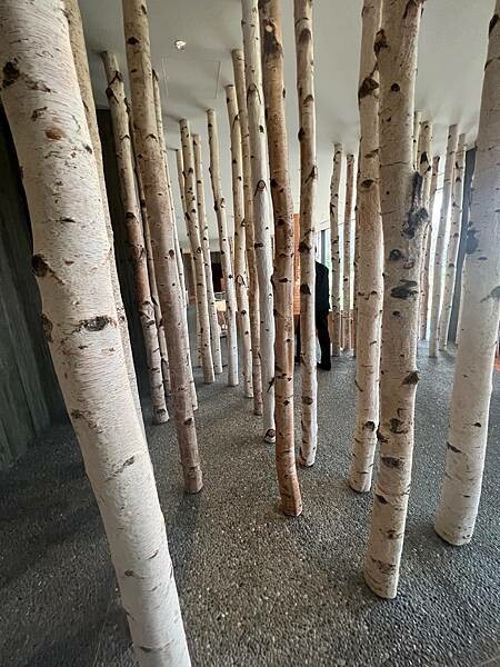 四季如畫的北海道白老町。波羅多湖畔旁的「星野。界 波羅多渡假