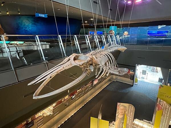 宜蘭頭城景點:建築美感十足的蘭陽博物館、漫步頭城老街的文藝氣