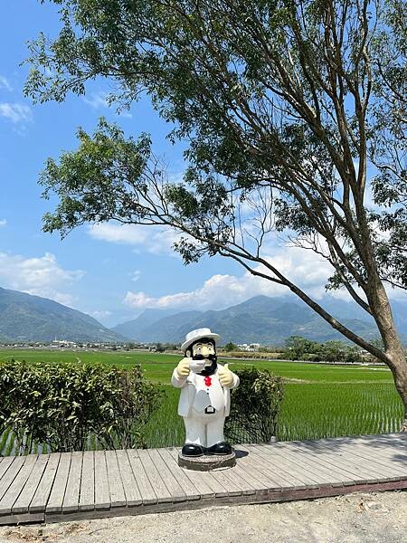 池上春季一日遊。伯朗大道一片片綠油油的稻田|台東嘉義宜蘭遊記