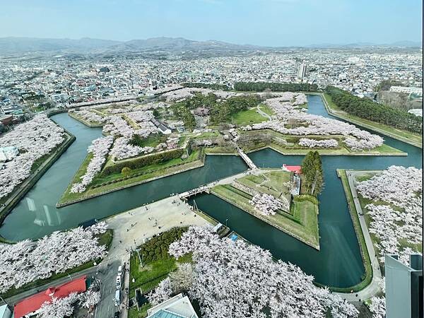 2023年北海道函館五稜郭櫻花季:熱情的盛開。推薦日本好吃的