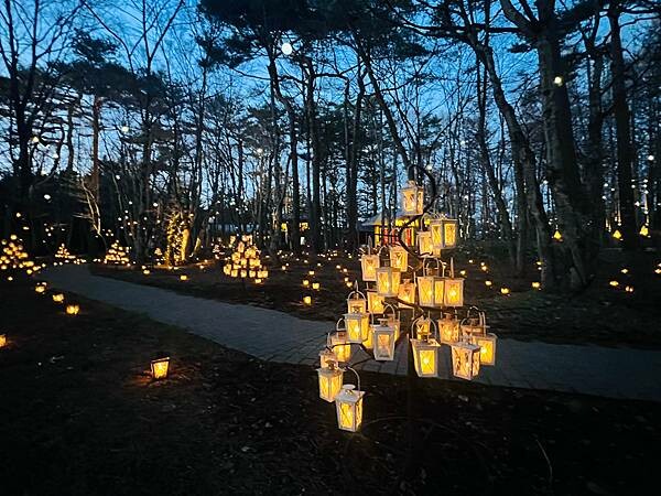 2023年日本長野縣輕井澤星野渡假飯店浪漫聖誕活動:杉樹廣場