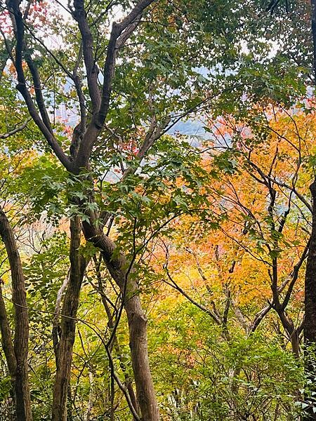 新北市汐止拱北殿：賞楓步道。慢步雙拱橋熱門打卡景點