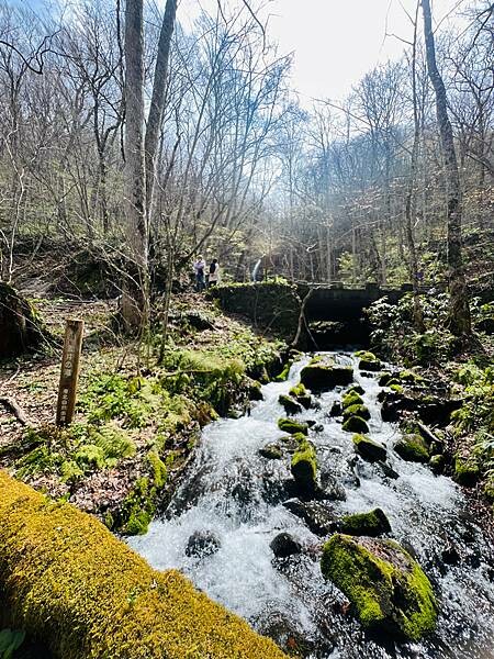 奧入瀨溪流一日慢走遊記:三亂の流れ、石戶休息站、阿修羅之流、 奧入瀨溪流一日慢走遊記:三亂の流れ、石戶休息站、阿修羅之流、