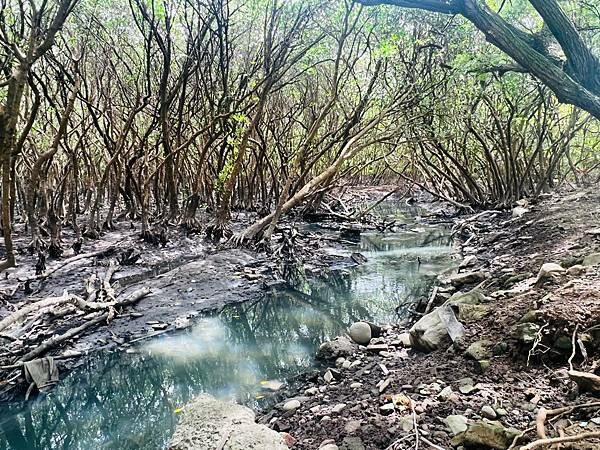 新北市八里一日遊：2023年八里神化沙雕藝術展。挖子尾自然保