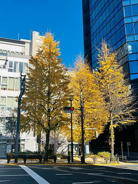 東京京橋評價住宿：東京京橋雷姆飯店Remm Tokyo Ky