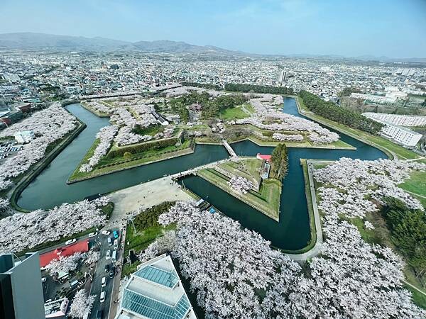 2023年北海道函館五稜郭櫻花季:熱情的盛開。推薦日本好吃的