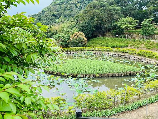 台北市內湖捷運站碧山巖。輕鬆漫慢遊。輕旅行:白石湖吊橋、午餐