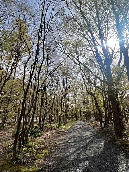 星野奧入瀨溫泉渡假飯店（附交通方式）。在自然生態的溪流邊渡過