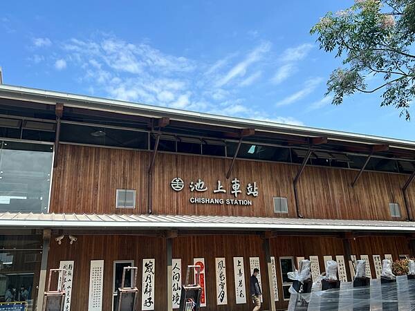 池上春季一日遊。伯朗大道一片片綠油油的稻田|台東嘉義宜蘭遊記