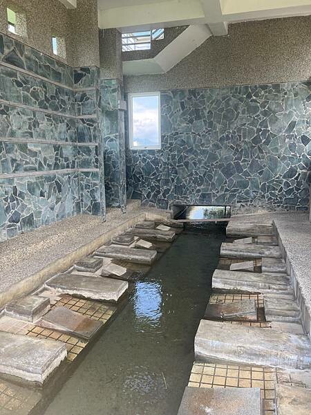 池上春季一日遊。伯朗大道一片片綠油油的稻田|台東嘉義宜蘭遊記