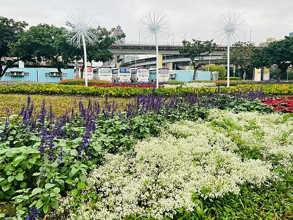 台北市捷運北門站:12月的延平河濱公園花海
