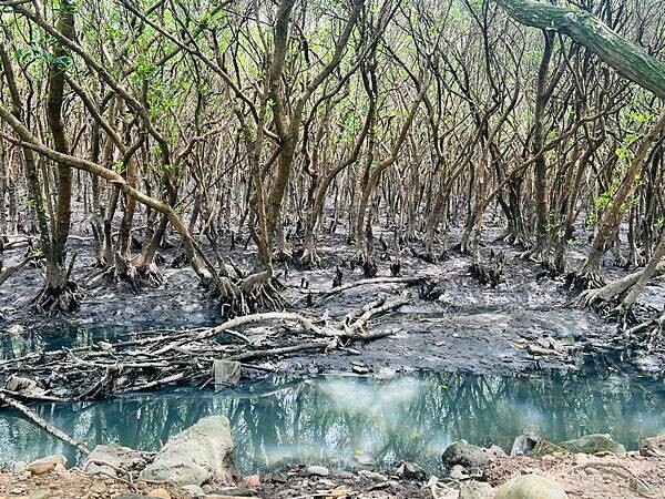 新北市八里一日遊：2023年八里神化沙雕藝術展。挖子尾自然保