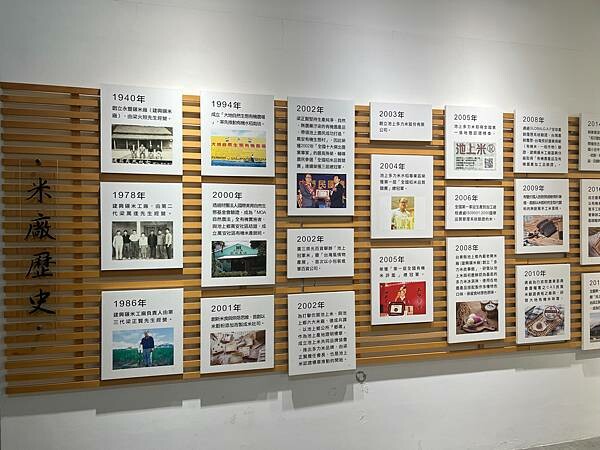 池上春季一日遊。伯朗大道一片片綠油油的稻田|台東嘉義宜蘭遊記