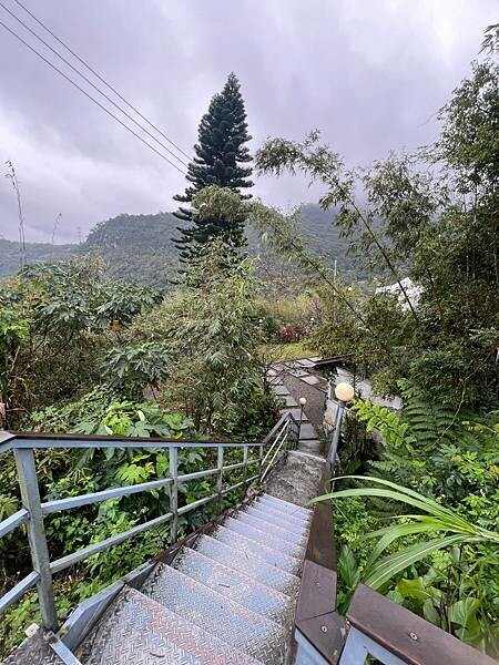 台北貓空景觀咖啡廳：生活在他方夜貓店。深山裡營業至凌晨2點的