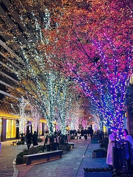 2023年日本東京聖誕燈飾:丸之內東京車站周邊。日比谷東京中 2023年日本東京聖誕燈飾:丸之內東京車站周邊。日比谷東京中