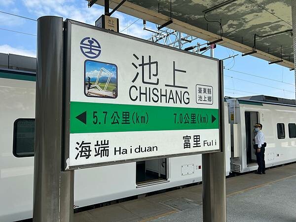 池上春季一日遊。伯朗大道一片片綠油油的稻田|台東嘉義宜蘭遊記