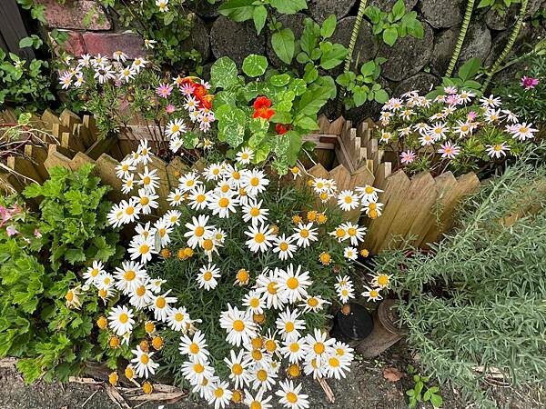 台北市內湖捷運站碧山巖。輕鬆漫慢遊。輕旅行:白石湖吊橋、午餐