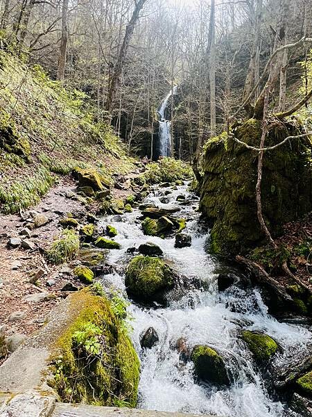 奧入瀨溪流一日慢走遊記:三亂の流れ、石戶休息站、阿修羅之流、 奧入瀨溪流一日慢走遊記:三亂の流れ、石戶休息站、阿修羅之流、