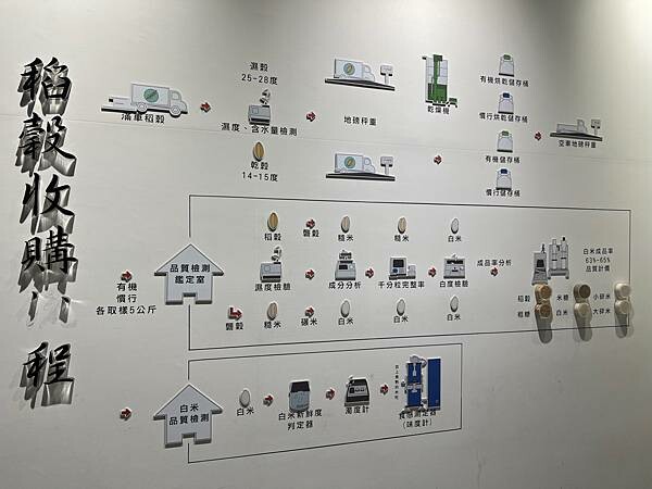 池上春季一日遊。伯朗大道一片片綠油油的稻田|台東嘉義宜蘭遊記