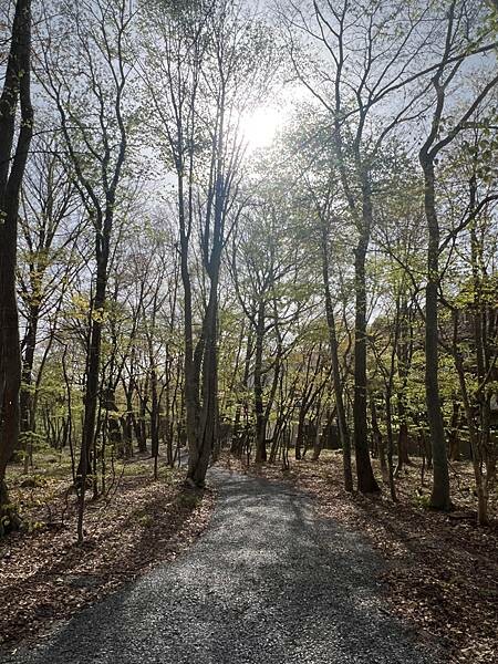 星野奧入瀨溫泉渡假飯店（附交通方式）。在自然生態的溪流邊渡過