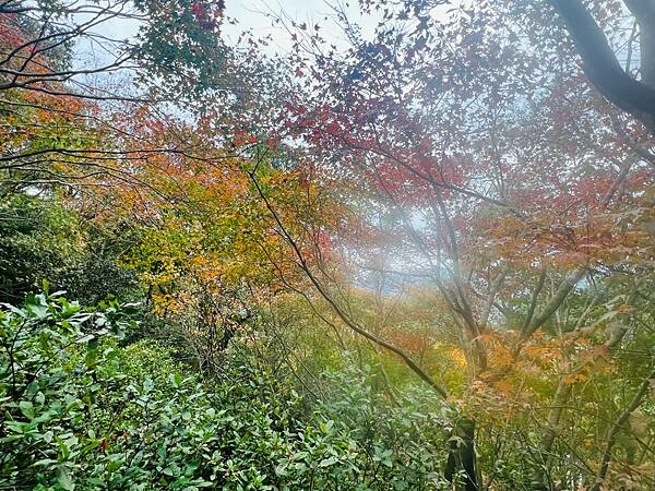 新北市汐止拱北殿：賞楓步道。慢步雙拱橋熱門打卡景點