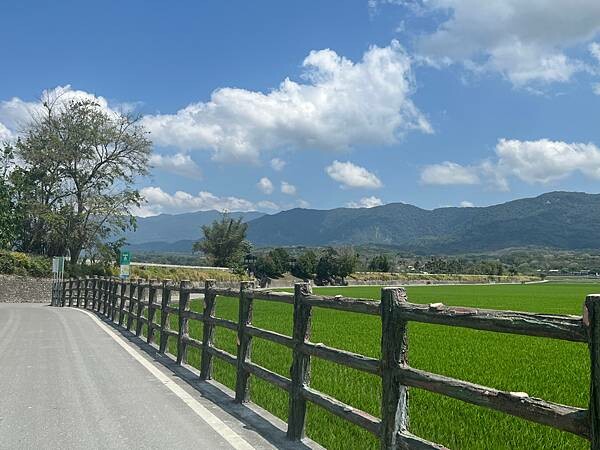 池上春季一日遊。伯朗大道一片片綠油油的稻田|台東嘉義宜蘭遊記