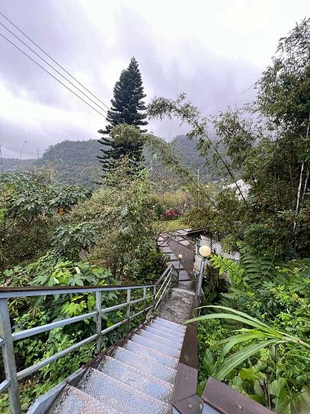 台北貓空景觀咖啡廳：生活在他方夜貓店。深山裡營業至凌晨2點的