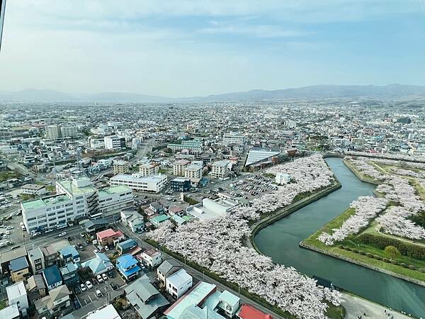 2023年北海道函館五稜郭櫻花季:熱情的盛開。推薦日本好吃的