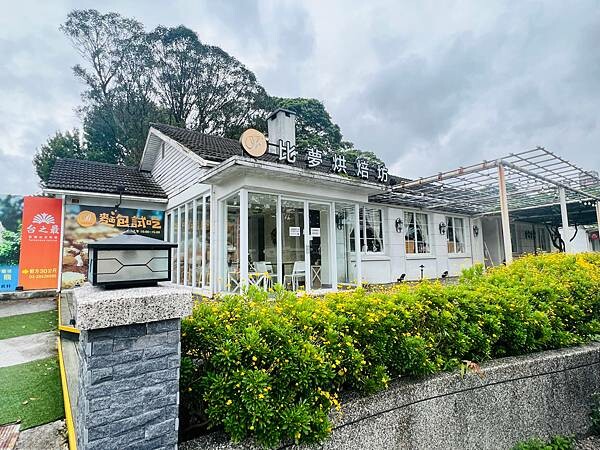 陽明山草山小鎮:大衛小小羊David & Alpaca,近距 陽明山草山小鎮:大衛小小羊David & Alpaca,近距